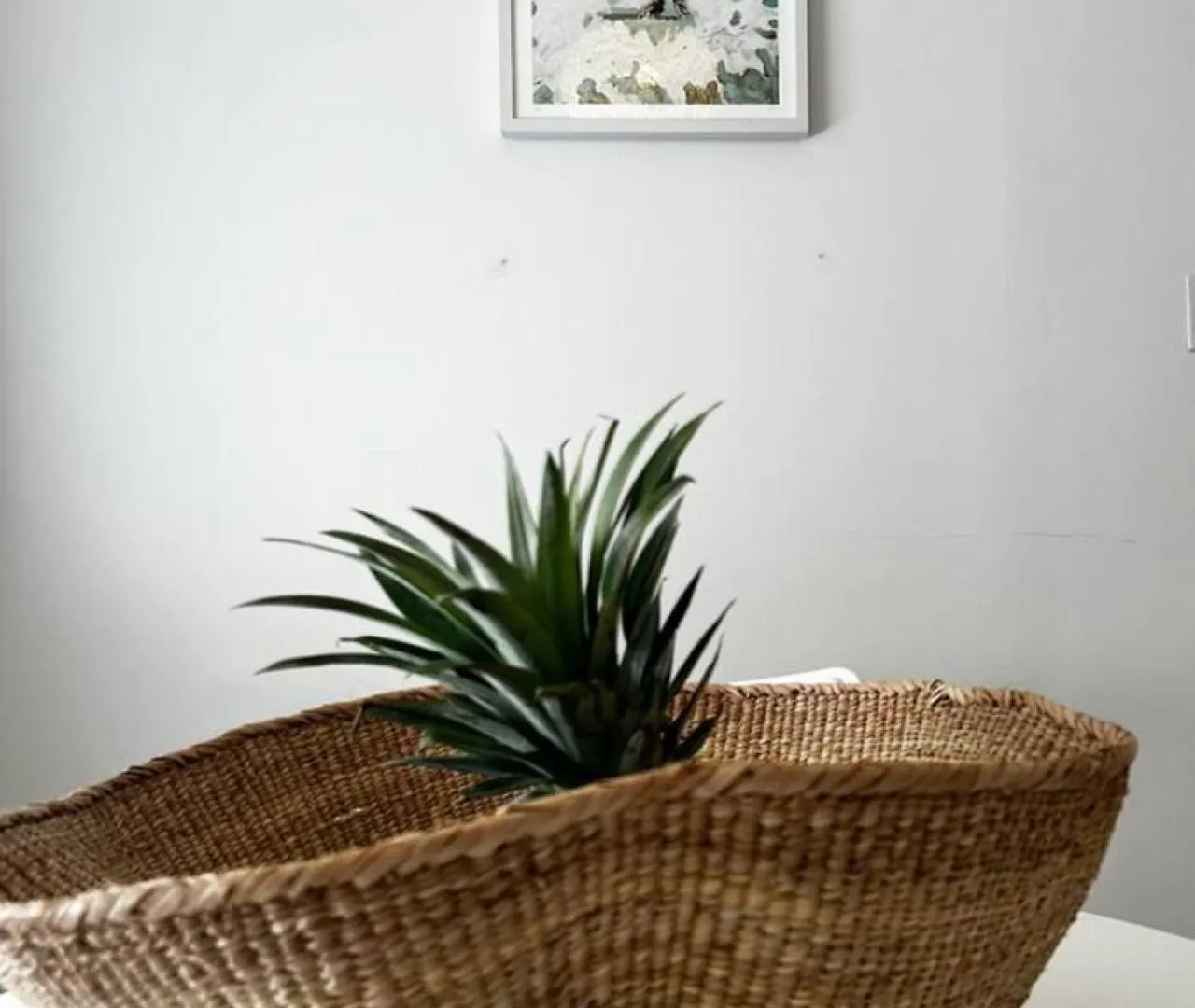 Sunnyboy At Fingal Head, Pet Friendly Villa