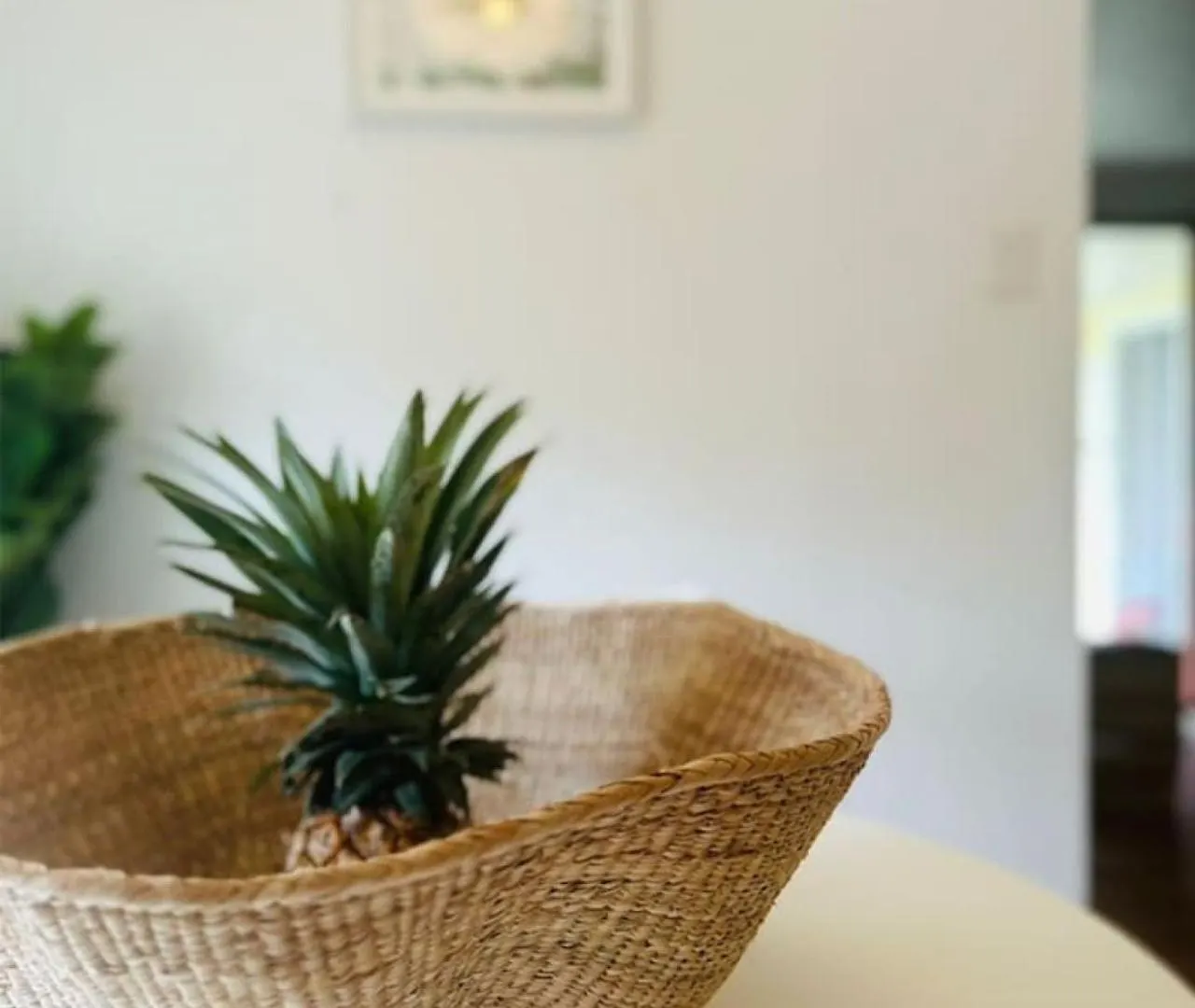 Sunnyboy At Fingal Head, Pet Friendly Villa
